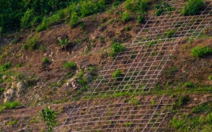 Various erosion control grids on a steep hillside