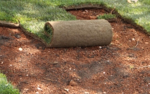 A roll of sod grass in a small dirt plot