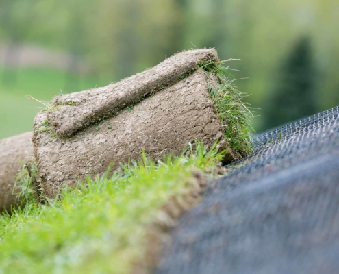 Close up view of hillside with a roll of sod