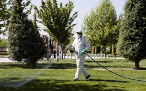 Grounds workers spraying a pesticide and fertilizer