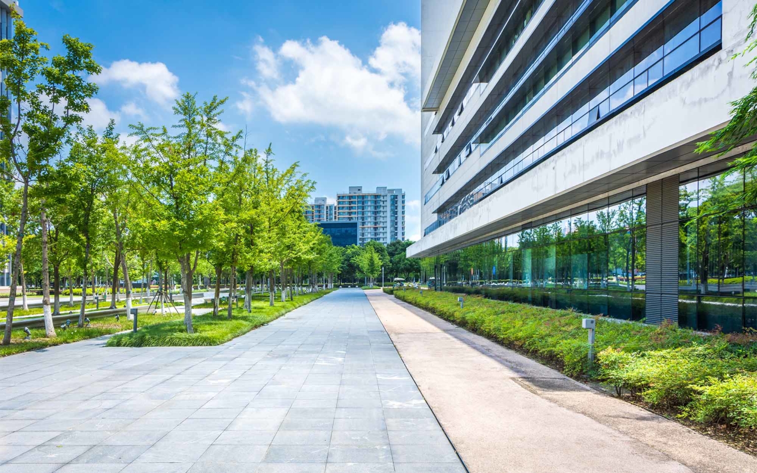 Outside of an office building with green landscaping - Varsity Inc