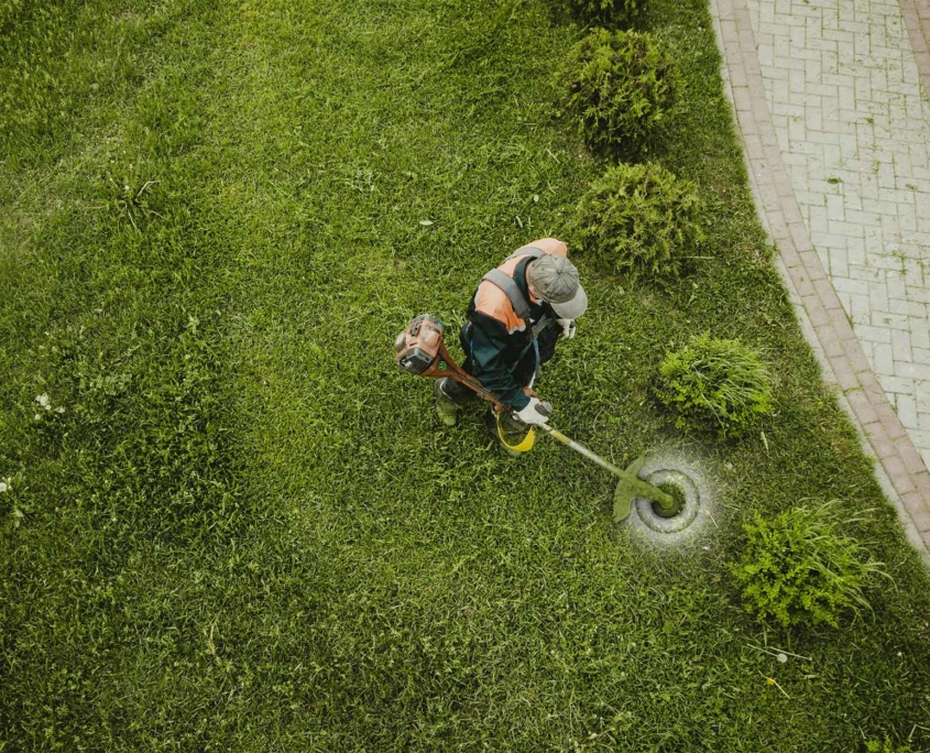 Professional Lawn Cutting and Weed Removal Varsity Inc.