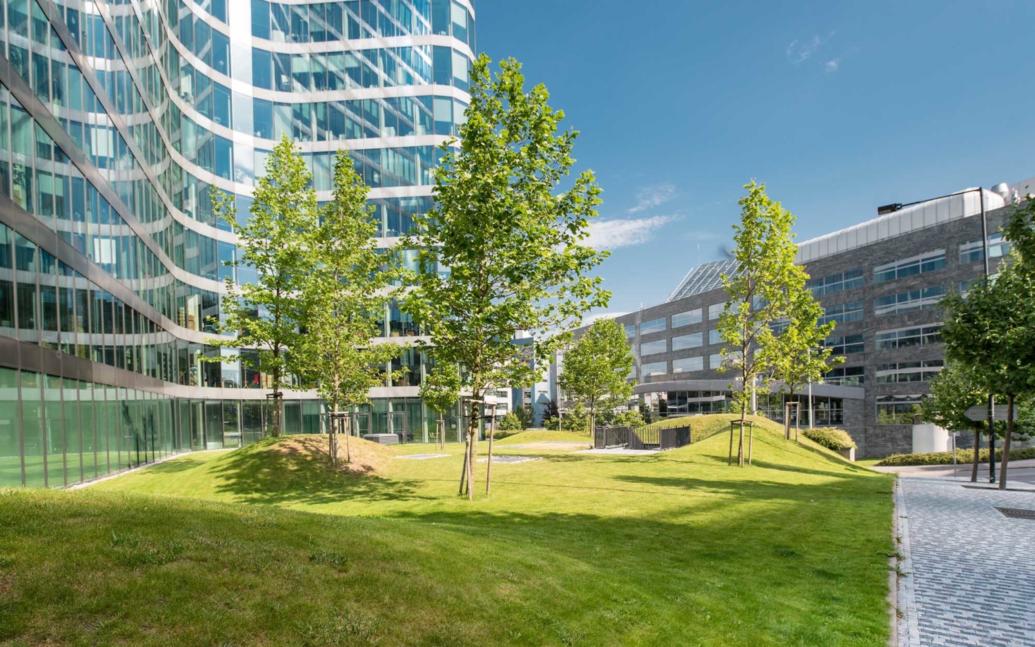 Corporate Center landscaping with tall buildings