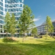 Corporate Center landscaping with tall buildings