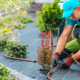 Landscaper fixing watering system for vibrant plants