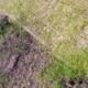 Close up of grass breaking through soil after treatment
