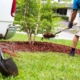 How To Keep Your Summer Landscaping Healthy in the Heat June Blog 2