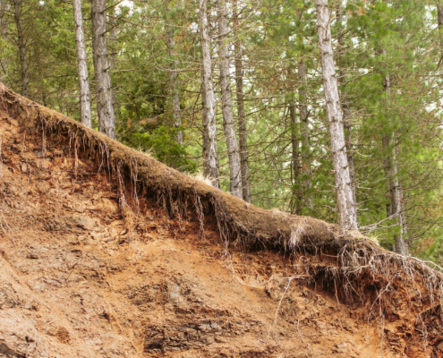 Preventing Soil Erosion: Erosion Control for Steep Slopes