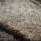 Erosion Control Net Blanket