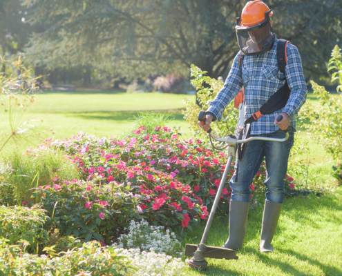 Commercial Landscaping trimming
