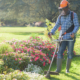 Commercial Landscaping trimming