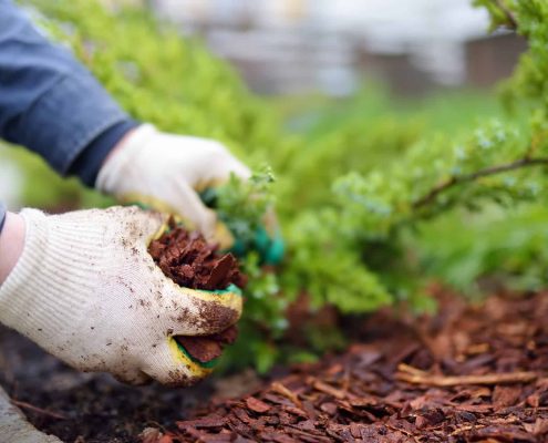 A Guide To Sustainable Landscaping Practices