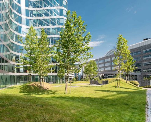 Corporate Center Landscaping With Tall Buildings