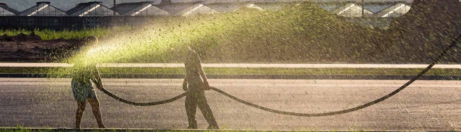 How-to-Care-for-Hydroseeded-Lawn-January-Blog-1 How To Care For Hydroseeded Lawn January Blog 1