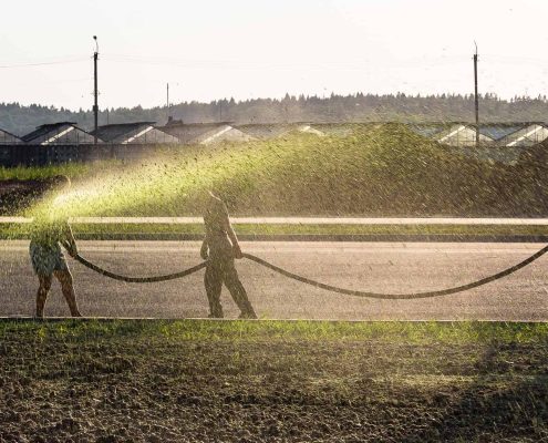 How To Care For Hydroseeded Lawn January Blog 1