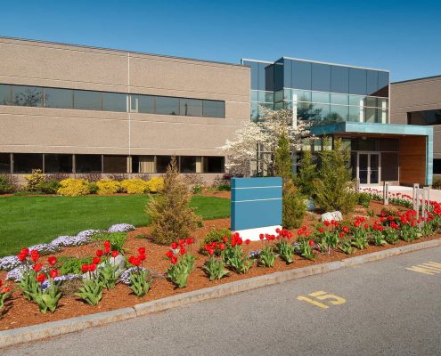 Image Of A Flower Bed Outside Of A Medical Facility