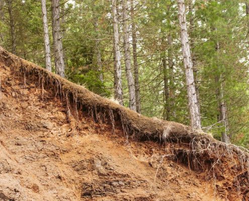 Preventing Soil Erosion Erosion Control For Steep Slopes