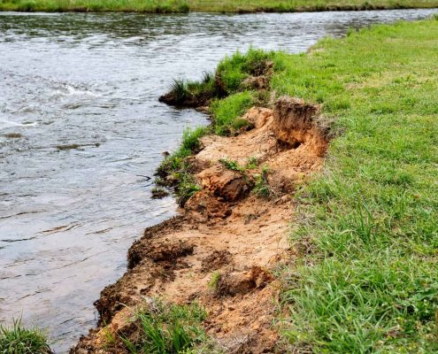Soil Erosion On A Creek Bank
