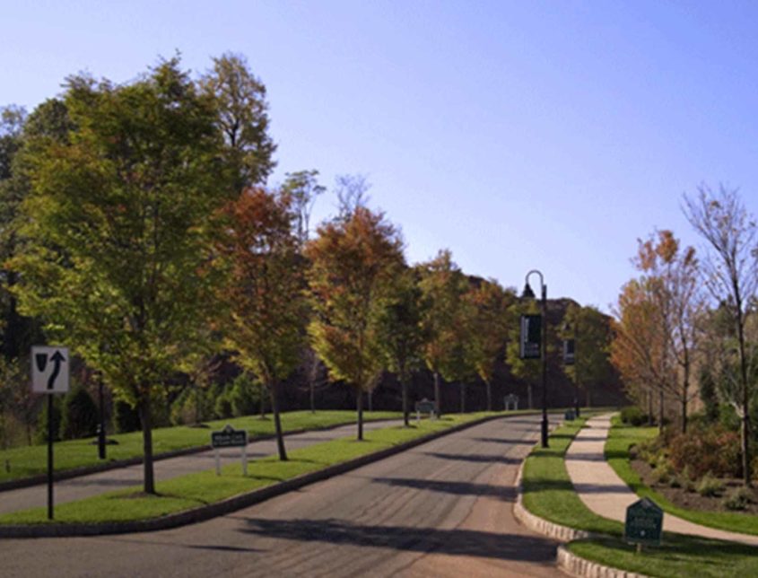 Varsity Landscpaing Throughout A Neighborhood 1030x644