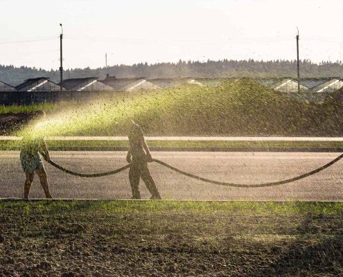 Why Businesses Need Erosion Control Services To Avoid Hidden Costs
